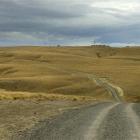 All roads lead to Central? The pioneer gold miners, with their single-minded pursuit of the...