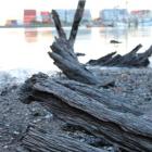 All that is left of what is thought to be the Prince Alfred, a schooner wrecked in Otago Harbour...