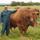 Allanton farmer Brian Thomson poses with his prize-winning South Devon bull Loch Lomond Ted....