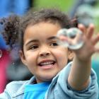 Amber Kasosera (5), of Helen Deem Kindergarten, chases bubbles at the Dunedin Kindergarten...
