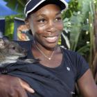 American Venus Williams holds a wallaby in the players' room before next week's Australian Open...