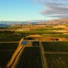 Amisfield Wine Company's  Estate Vineyard  and  Winery at Pisa, between Cromwell and Wanaka, with...