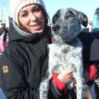 Amy Zareei and huntaway-heeler cross Boo find a vantage point to watch the Dog Derby competitors...