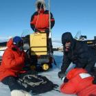 An American Ansmet (Antarctic Search for Meteorites) team collects a chondrite meteorite on one...