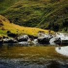 An angler tempts trout on the Pomahaka River. Photo supplied.