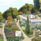 An artist's impression shows what the planned Mediterranean Garden, to be built at the Dunedin...