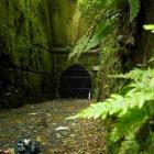 An entrance of the Caversham tunnel. Photo: Gerard O'Brien