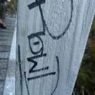An example of the tagging on Routeburn Track. Photo supplied.