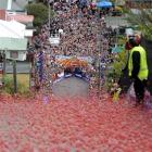 An excited crowd watches 25,000 Jaffas begin their tumble down Baldwin St in Dunedin yesterday...