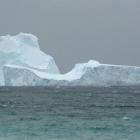 An iceberg in Garden Bay at the northern end of Macquarie Island. Photo by Australian Antarctic...