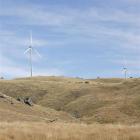 An image created by Truescape for the Project Hayes wind farm hearing. Image from Meridian.