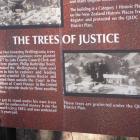 An information panel near the Queenstown courthouse.