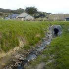 An installation error saw raw sewage pumped into this creek used by children in the Orchard Grove...