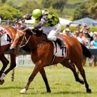 Anabandana, the outstanding 2yr-old filly. Photo by NZPA.