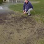 Andersons Bay Bowling Club green supervisor Kevin Galvin says vandalism on its green will not...