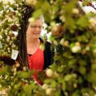 Anne Shanks, of Mosgiel, takes a moment from her busy Christmas shopping schedule to look at ...