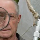 Anthony Harris, Otago Museum's honorary curator of entomology, at work at the Woodhaugh Gardens...
