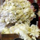 ANZ economists say the New Zealand wool industry is in need of rationalisation and consolidation.
