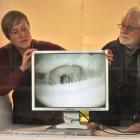 Artist Becky Cameron installs her video artwork, The Curious Eye, under the watchful eye of ''Art...