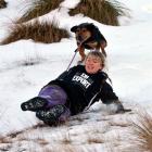 Ashley Broadman and her dog Wade skitter down the slope during the Queenstown Winter Festival dog...