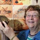 Associate Prof Daphne Lee, of the University of Otago geology department, holds a lump of...