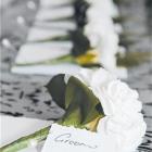 At the reception of Rebekah Bloxham and Daniel Wilson, at Lowburn Inlet, Cromwell. Photo by SVZ...