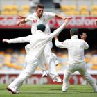 Australia's James Pattinson (C) celebrates with teammates the wicket of New Zealand's Ross Taylor...