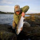 Australian fly-fisherman Chris Reygaert holds a perfectly conditioned almost 8lb (3.6kg) sea-run...