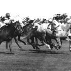 Baghdad Note (4) charges to victory in the 1970 Melbourne Cup. Photo by Herald-Sun.