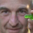 Barrie Aburn, of Dunedin, holds one of the offending lollies in Dunedin yesterday. Photo by Peter...