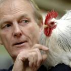 Bert the Columbian bantam and Dunedin Poultry, Pigeon and Cage Bird Club secretary Charlie Wilson...