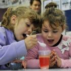 Bree-Ana Gillan (left) and Jalah-Lee Elliott happily add a little more salt  during a "lava"...