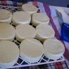 Brined cheeses drain on a rack. Photos by Janice Murphy.