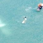 Coastguard, surfers and police secure the light aircraft which crashed into Raglan harbour...
