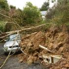 A tree and landslip pin down Polly Mustard's  Audi A3. Photos by Stephen Jaquiery.