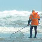 Care needed: Heavy swells can make some whitebaiting areas dangerous. Picture: Courier files