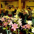 Flowers are displayed at the Otago Lily Society annual show at Forbury Park Raceway last Saturday...