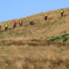 Catlins LandSAR crew finish their day in the search for a missing boy and his estranged...