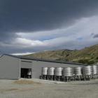 Central Otago Vintners winery, which is in receivership. Photo by Rosie Manins.
