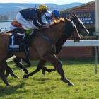 Chapel Star (closest to camera) and Halo Buster battle out the finish of the rating 85 1200m at...