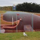 Children look at the whale paddling pool at Marlow Park in St Kilda, Dunedin, which is closed for...
