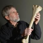 Chris Jacomb, a University of Otago archaeologist, examines a moa bone. Photo by Peter McIntosh.