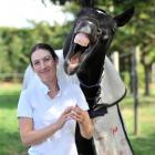 Claudia Hay and her stallion Centi  relax in Mosgiel after winning two top titles at the Horse of...