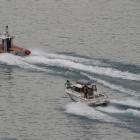 Coastguard Queenstown and a private fishing charter boat sweep Sunshine Bay as part of the search...