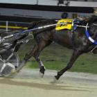 Comes Pat wins at Forbury Park on July 19. Photo by Tayler Strong.