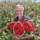 Commercial rose grower John van Delft, of Mosgiel, displays bunches of his signature rose, Black...