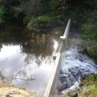 Concrete weirs such as the one at Akatore Creek near Waihola  keep trout from preying on Otago's...