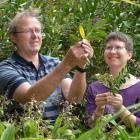 Conservation ecologist Dr Bill Lee and postdoctoral researcher Dr Angela Brandt, both of Landcare...