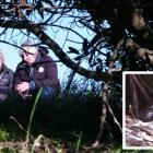 Conservation Minister Kate Wilkinson (left) is shown a nesting yellow-eyed penguin (inset) by...
