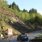 Contractors remove wilding trees from above the Coronet Peak access road, near Queenstown. Photo...